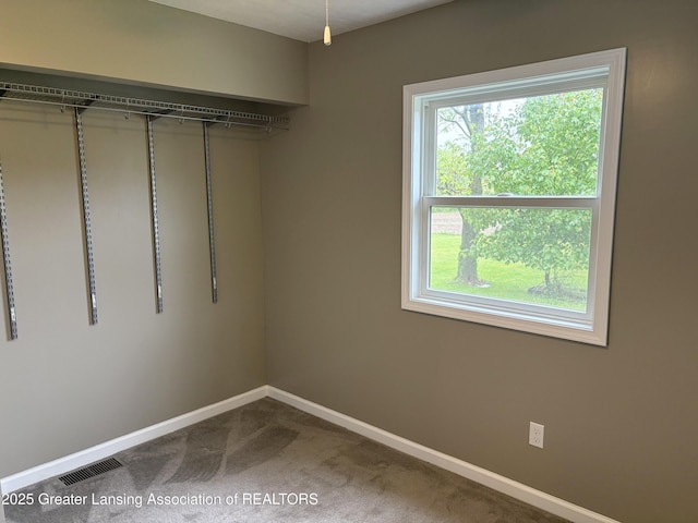 4684 Sherman Rd, Charlotte, MI 48813 - walk in closet with dark colored carpet