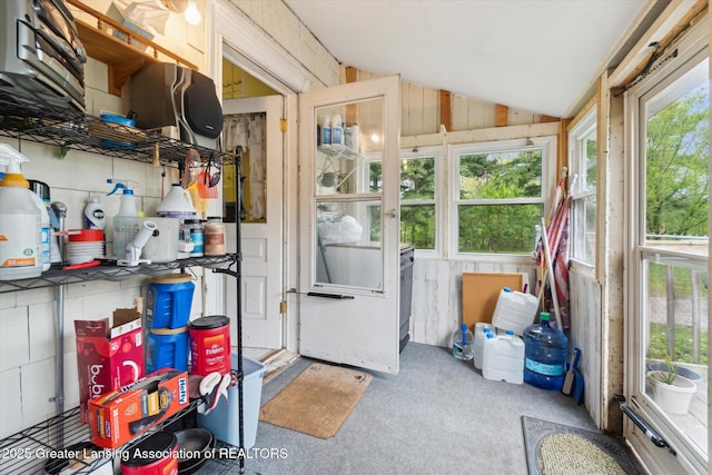 6275 E Clark Rd, Bath, MI 48808 - sunroom / solarium with vaulted ceiling and healthy amount of natural light