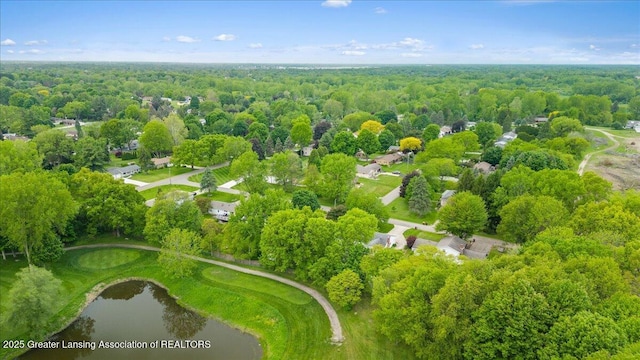 14921 Karl Dr, Lansing, MI 48906 - drone / aerial view of a large body of water and a forest