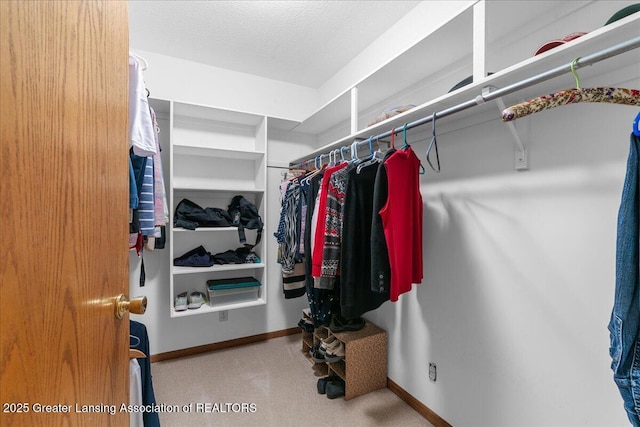 14921 Karl Dr, Lansing, MI 48906 - view of spacious closet