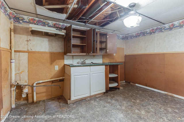 4316 Dumfries Cir, Lansing, MI 48911 - below grade area featuring a sink and wainscoting