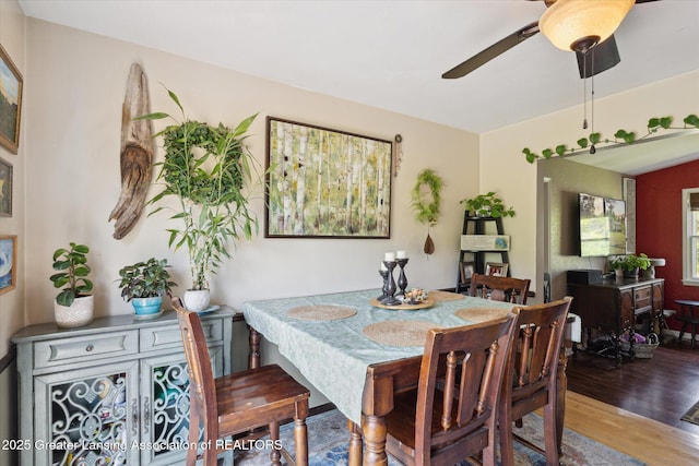 7050 E Eaton Hwy, Sunfield, MI 48890 - dining room featuring wood finished floors and a ceiling fan