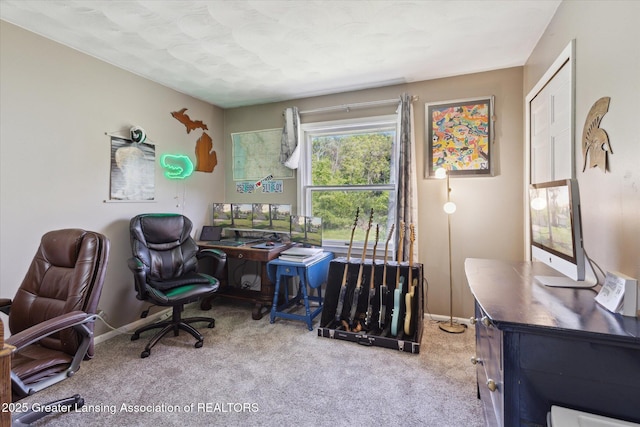 7050 E Eaton Hwy, Sunfield, MI 48890 - carpeted office space featuring baseboards