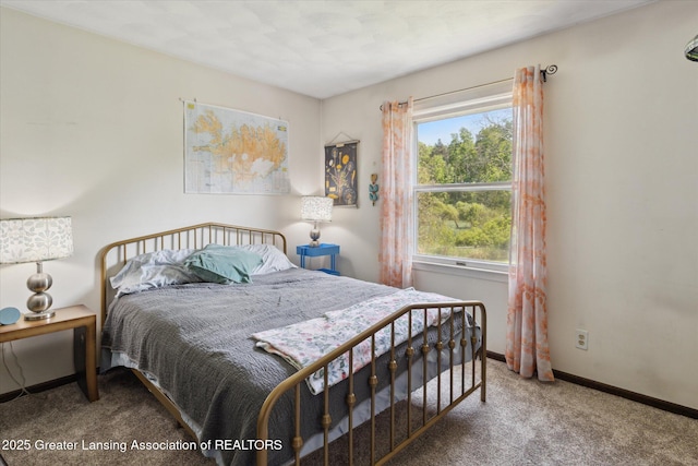 7050 E Eaton Hwy, Sunfield, MI 48890 - carpeted bedroom featuring baseboards
