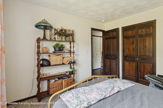 7050 E Eaton Hwy, Sunfield, MI 48890 - bedroom featuring carpet, a closet, and baseboards