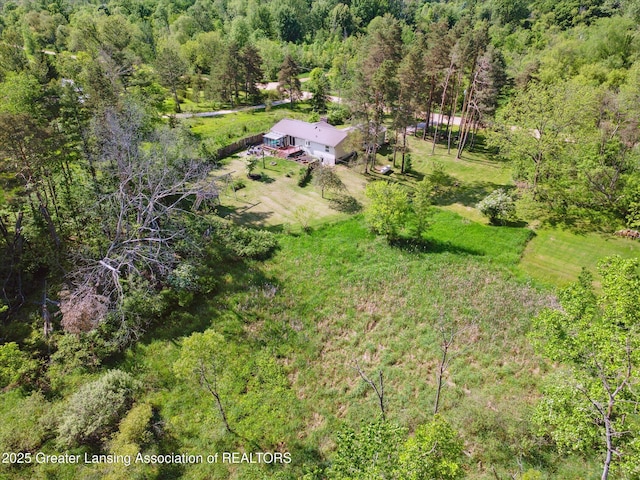 7050 E Eaton Hwy, Sunfield, MI 48890 - view from above of property with a heavily wooded area