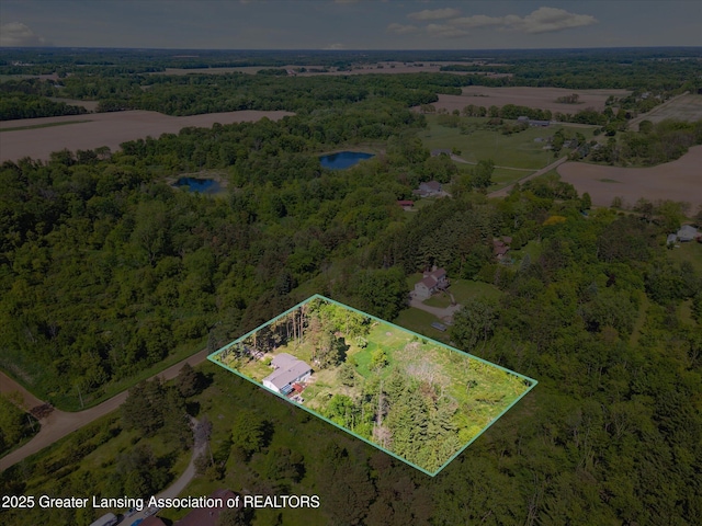 7050 E Eaton Hwy, Sunfield, MI 48890 - aerial overview of property's location featuring a large body of water, property parcel outlined, and a forest