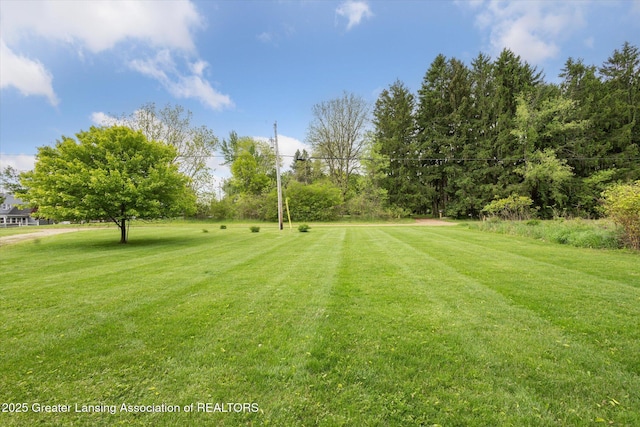 7161 E Eaton Hwy, Mulliken, MI 48861 - view of green lawn