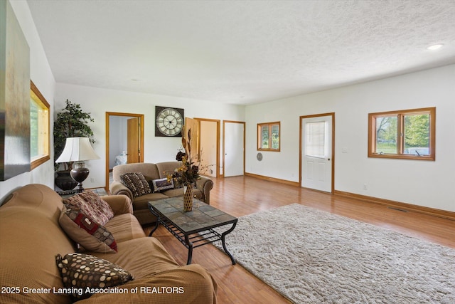 7161 E Eaton Hwy, Mulliken, MI 48861 - living room featuring wood finished floors, baseboards, and a textured ceiling