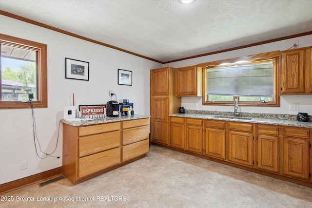 7161 E Eaton Hwy, Mulliken, MI 48861 - kitchen featuring a sink, crown molding, brown cabinetry, plenty of natural light, and a textured ceiling