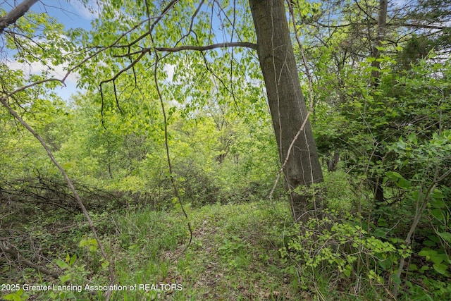 7161 E Eaton Hwy, Mulliken, MI 48861 - view of tree filled area