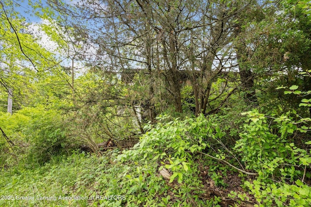 7161 E Eaton Hwy, Mulliken, MI 48861 - view of local wilderness