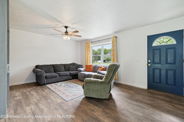 114 Walker Dr, Morrice, MI 48857 - living area with plenty of natural light, wood finished floors, ceiling fan, baseboards, and a textured ceiling
