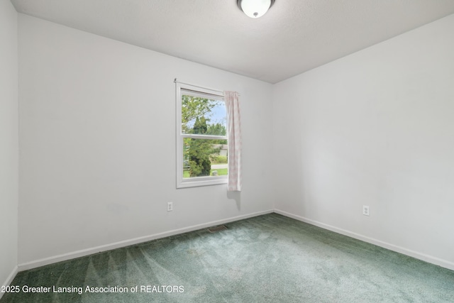 114 Walker Dr, Morrice, MI 48857 - empty room with carpet and baseboards