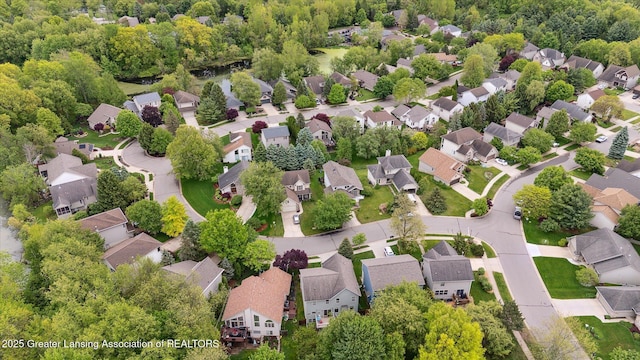 16851 Meadowbrook Dr, Haslett, MI 48840 - aerial view of residential area