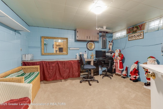 15157 Chetwyn Dr, Lansing, MI 48906 - carpeted office with concrete block wall and electric panel