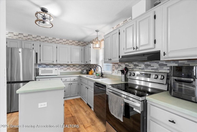 2008 Red Fox Ct, Weidman, MI 48893 - photo 9