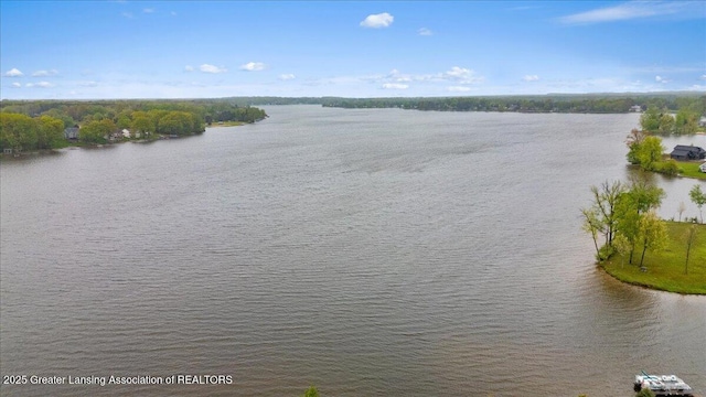 2008 Red Fox Ct, Weidman, MI 48893 - photo 48