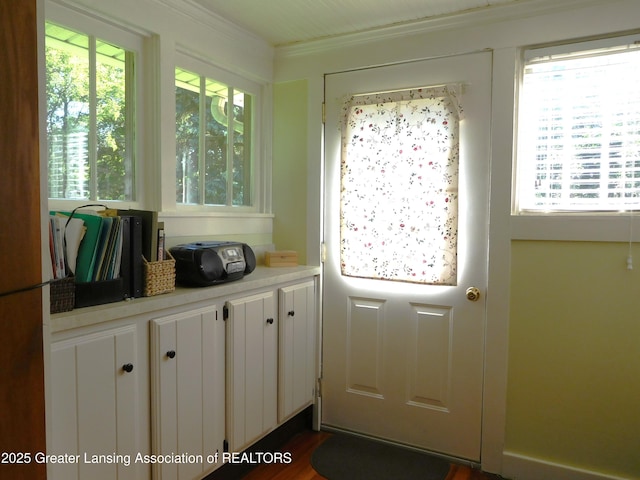 2229 Ives Rd, Leslie, MI 49251 - doorway to outside with ornamental molding