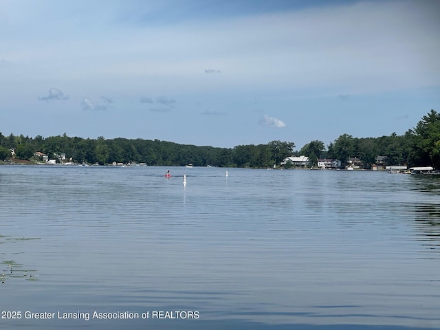 1364 James St, Harrison, MI 48625 - water view featuring a heavily wooded area