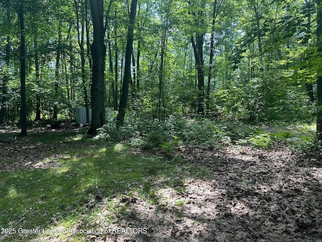 1364 James St, Harrison, MI 48625 - view of woods