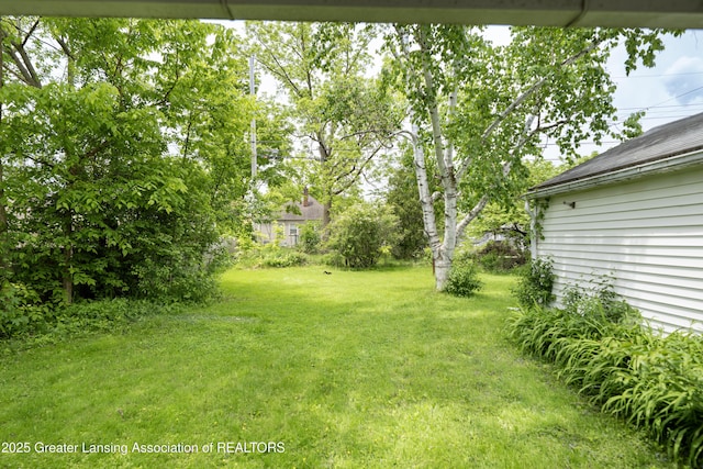 1720 Quentin Ave, Lansing, MI 48910 - view of green lawn