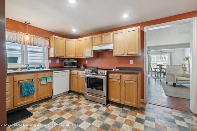 620 Irvington Ave, Lansing, MI 48910 - kitchen with stainless steel appliances, under cabinet range hood, a sink, dark countertops, and recessed lighting