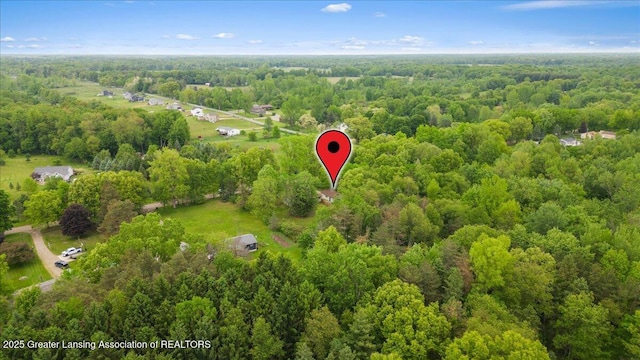 8279 Tyrrell Rd, Laingsburg, MI 48848 - bird's eye view of a forest