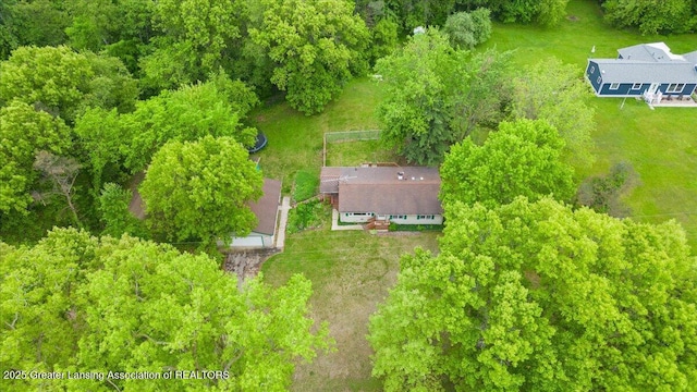 8279 Tyrrell Rd, Laingsburg, MI 48848 - view from above of property