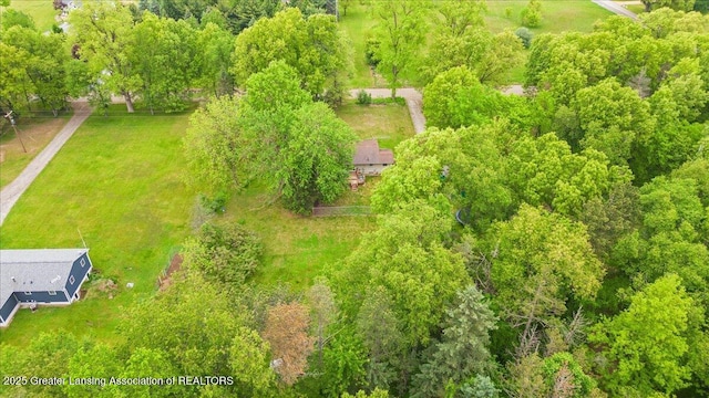 8279 Tyrrell Rd, Laingsburg, MI 48848 - view from above of property