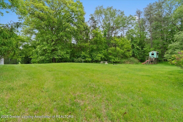 8279 Tyrrell Rd, Laingsburg, MI 48848 - view of green lawn with a playground