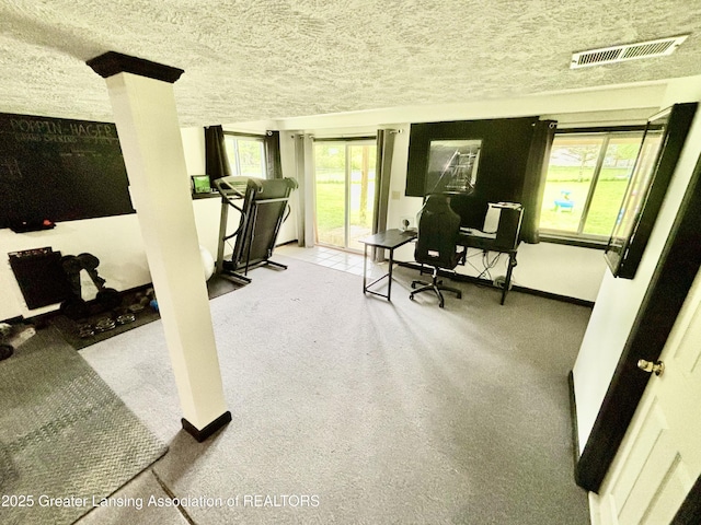 405 N Iris Ln, Laingsburg, MI 48848 - office featuring baseboards and a textured ceiling