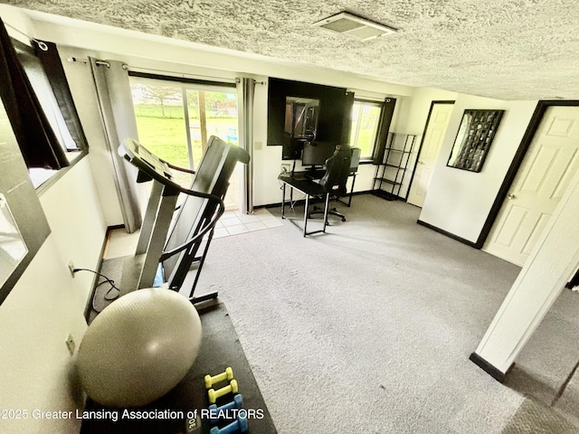405 N Iris Ln, Laingsburg, MI 48848 - workout room featuring healthy amount of natural light, carpet flooring, a textured ceiling, and baseboards