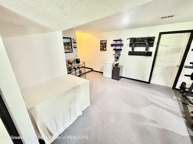405 N Iris Ln, Laingsburg, MI 48848 - bedroom with a textured ceiling and baseboards