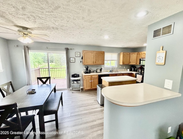 405 N Iris Ln, Laingsburg, MI 48848 - kitchen with a textured ceiling, a sink, light countertops, light wood-style floors, and a peninsula