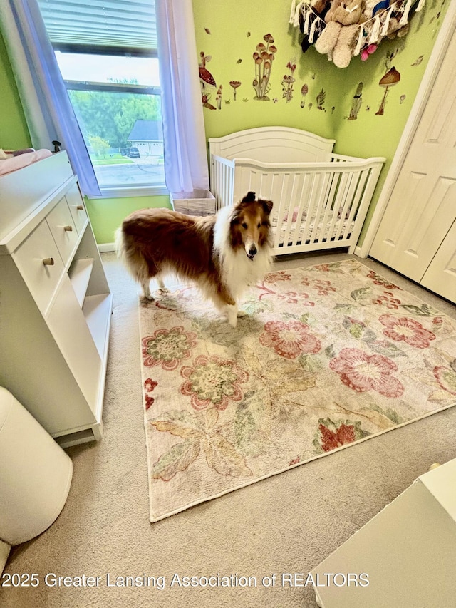 405 N Iris Ln, Laingsburg, MI 48848 - carpeted bedroom with a crib