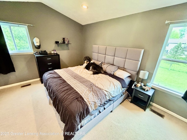 405 N Iris Ln, Laingsburg, MI 48848 - bedroom featuring carpet flooring, multiple windows, baseboards, lofted ceiling, and recessed lighting