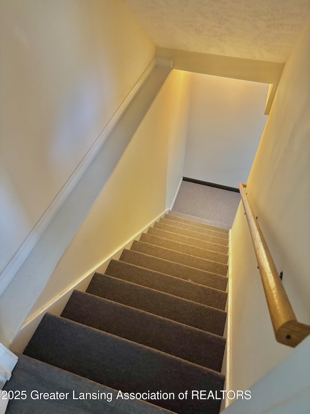 405 N Iris Ln, Laingsburg, MI 48848 - staircase featuring carpet flooring
