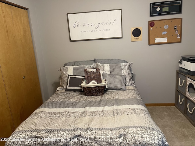 623 Horatio St, Charlotte, MI 48813 - carpeted bedroom featuring baseboards and a closet