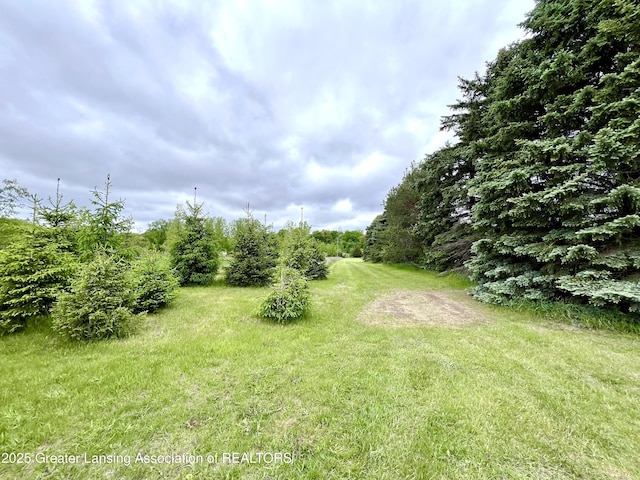 0 E Ridge Rd, Elsie, MI 48831