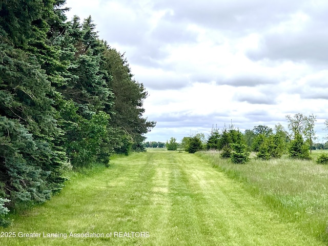 0 E Ridge Rd, Elsie, MI 48831