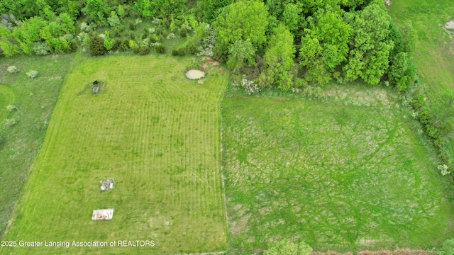 0 E Ridge Rd, Elsie, MI 48831