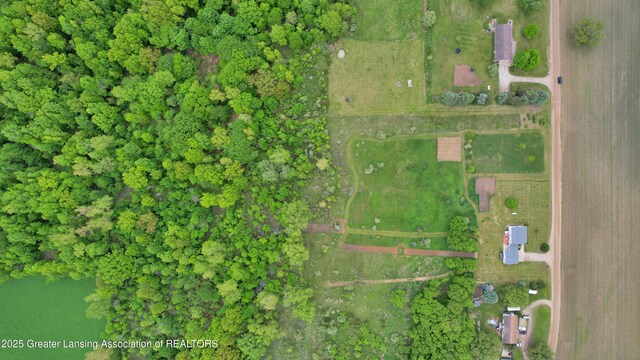 0 E Ridge Rd, Elsie, MI 48831