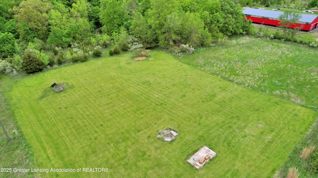 0 E Ridge Rd, Elsie, MI 48831