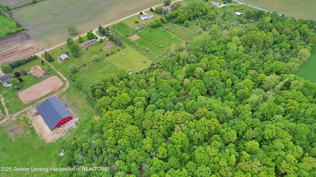 0 E Ridge Rd, Elsie, MI 48831