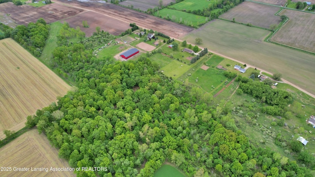 0 E Ridge Rd, Elsie, MI 48831