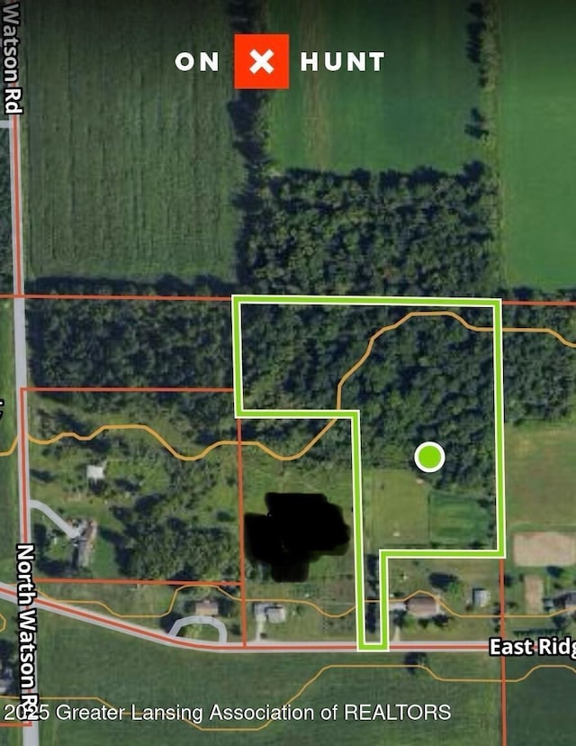 0 E Ridge Rd, Elsie, MI 48831