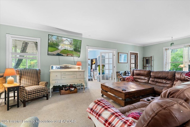 218 Russell St, Grand Ledge, MI 48837 - carpeted living room with ornamental molding