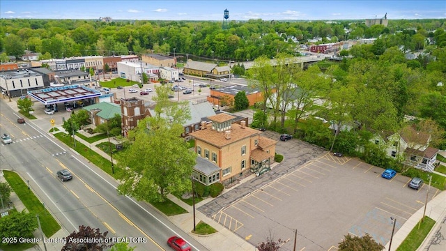 218 Russell St, Grand Ledge, MI 48837 - aerial view