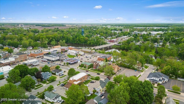 218 Russell St, Grand Ledge, MI 48837 - aerial view of property and surrounding area